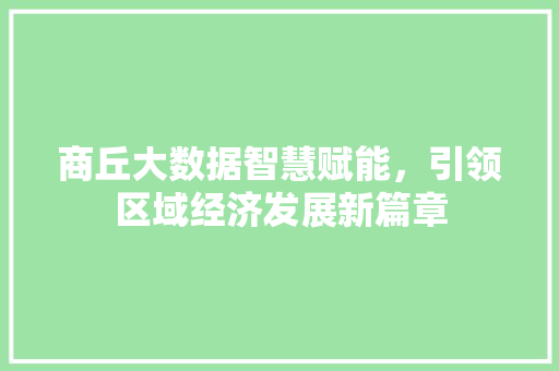商丘大数据智慧赋能，引领区域经济发展新篇章 电脑故障维修