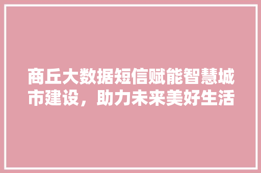 商丘大数据短信赋能智慧城市建设，助力未来美好生活 电脑配置