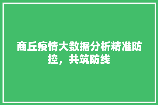 商丘疫情大数据分析精准防控，共筑防线 网络技术