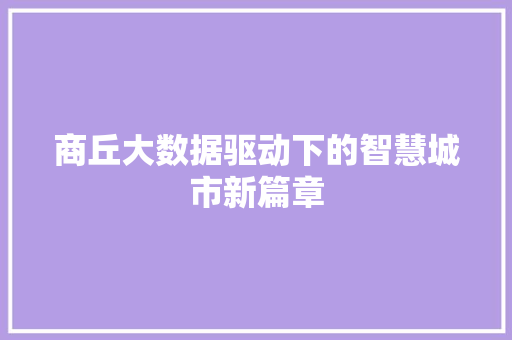 商丘大数据驱动下的智慧城市新篇章 操作系统