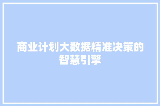 商业计划大数据精准决策的智慧引擎 电脑基础