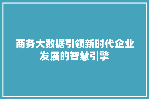 商务大数据引领新时代企业发展的智慧引擎 网络技术