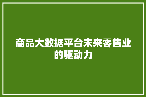商品大数据平台未来零售业的驱动力 电脑配置