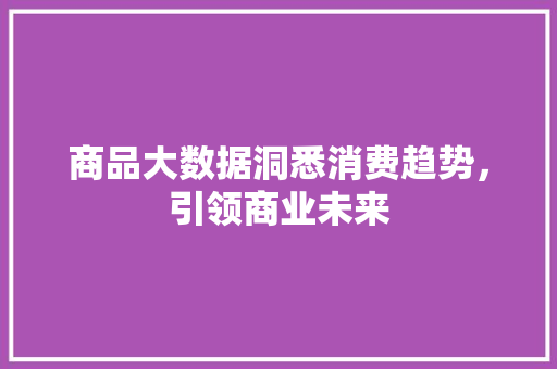 商品大数据洞悉消费趋势，引领商业未来 电脑故障维修