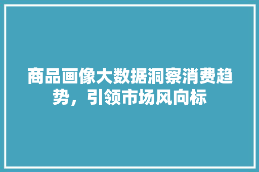 商品画像大数据洞察消费趋势,引领市场风向标 网络技术 商品画像大数据洞察消费趋势,引领市场风向标 网络技术