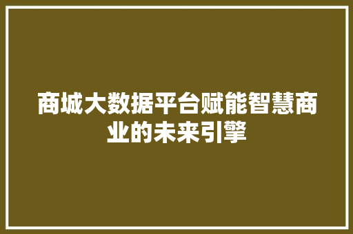 商城大数据平台赋能智慧商业的未来引擎 编程语言