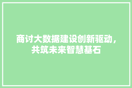 商讨大数据建设创新驱动，共筑未来智慧基石 电脑基础