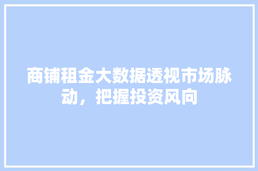 商铺租金大数据透视市场脉动，把握投资风向 编程语言
