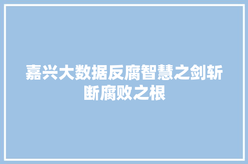 嘉兴大数据反腐智慧之剑斩断腐败之根 电脑配置