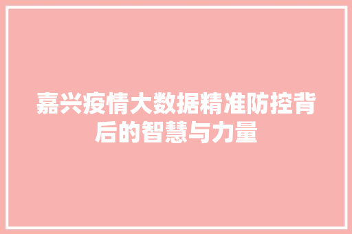 嘉兴疫情大数据精准防控背后的智慧与力量 电脑基础