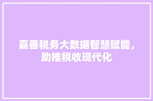 嘉善税务大数据智慧赋能，助推税收现代化 编程语言