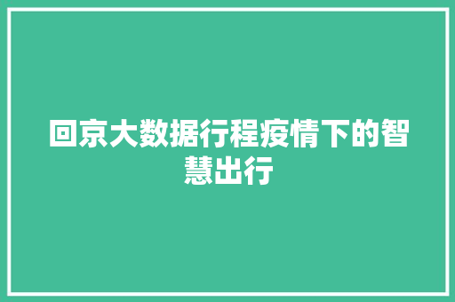 回京大数据行程疫情下的智慧出行 电脑故障维修