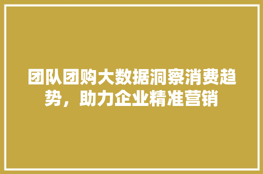 团队团购大数据洞察消费趋势，助力企业精准营销 编程语言