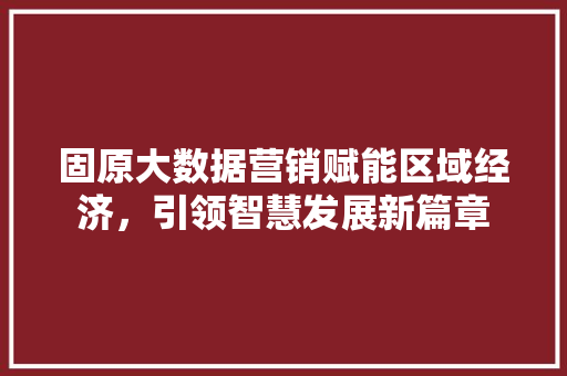 固原大数据营销赋能区域经济，引领智慧发展新篇章 电脑配置