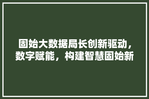 固始大数据局长创新驱动，数字赋能，构建智慧固始新篇章 电脑基础