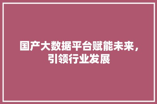国产大数据平台赋能未来，引领行业发展 电脑基础