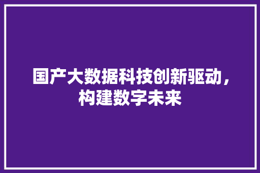 国产大数据科技创新驱动，构建数字未来 电脑故障维修