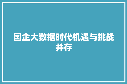 国企大数据时代机遇与挑战并存 电脑配置 国企大数据时代机遇与挑战并存 电脑配置