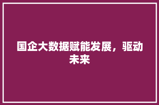 国企大数据赋能发展，驱动未来 电脑配置