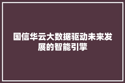 国信华云大数据驱动未来发展的智能引擎 编程语言