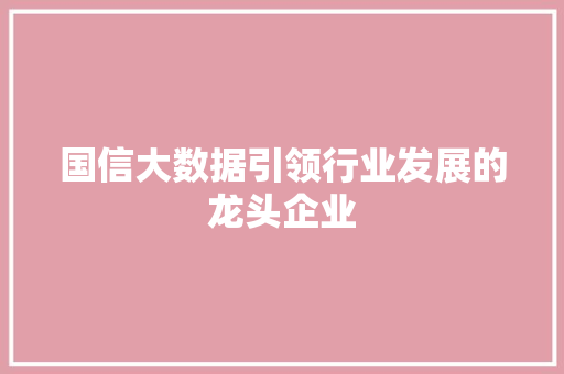 国信大数据引领行业发展的龙头企业 电脑故障维修 国信大数据引领行业发展的龙头企业 电脑故障维修
