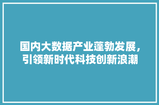 国内大数据产业蓬勃发展，引领新时代科技创新浪潮 网络技术