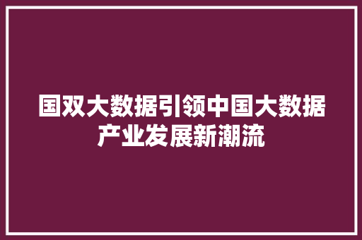 国双大数据引领中国大数据产业发展新潮流 电脑基础