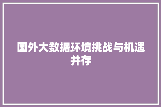 国外大数据环境挑战与机遇并存 编程语言