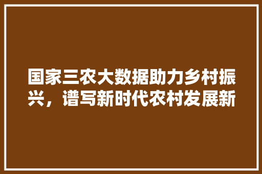 国家三农大数据助力乡村振兴，谱写新时代农村发展新篇章 编程语言