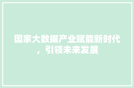 国家大数据产业赋能新时代，引领未来发展 网络技术