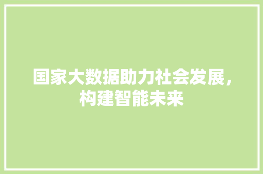 国家大数据助力社会发展，构建智能未来 电脑配置