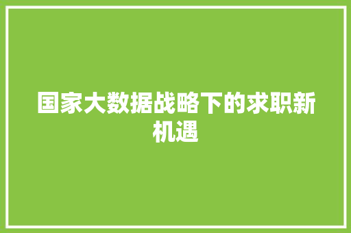 国家大数据战略下的求职新机遇 电脑基础