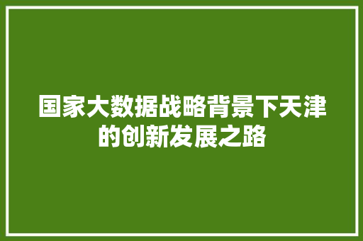 国家大数据战略背景下天津的创新发展之路 电脑故障维修