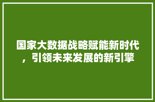 国家大数据战略赋能新时代，引领未来发展的新引擎 电脑基础