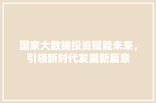 国家大数据投资赋能未来，引领新时代发展新篇章 电脑基础
