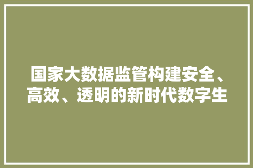 国家大数据监管构建安全、高效、透明的新时代数字生态 编程语言