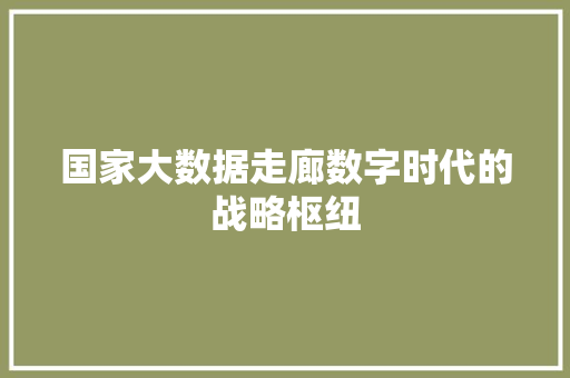 国家大数据走廊数字时代的战略枢纽 编程语言