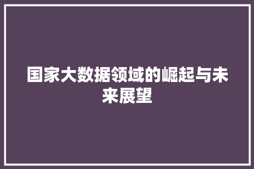 国家大数据领域的崛起与未来展望 电脑配置