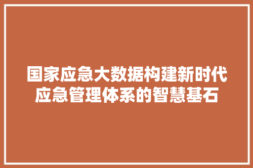国家应急大数据构建新时代应急管理体系的智慧基石 电脑基础