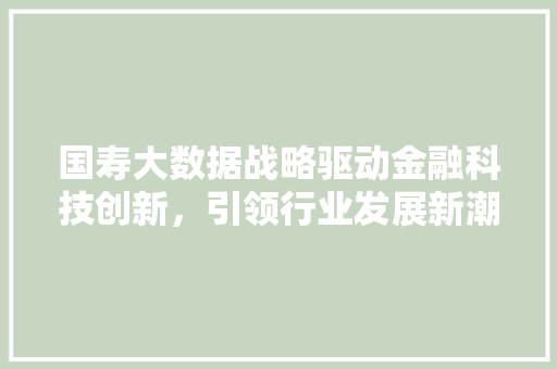 国寿大数据战略驱动金融科技创新，引领行业发展新潮流 网络技术