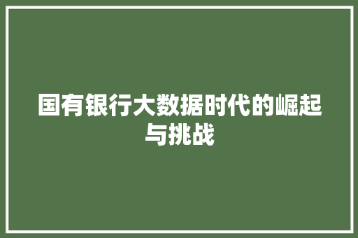 国有银行大数据时代的崛起与挑战 电脑配置