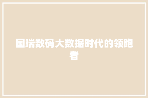 国瑞数码大数据时代的领跑者 编程语言