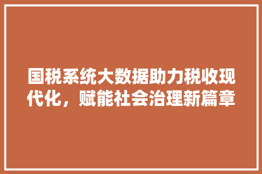 国税系统大数据助力税收现代化，赋能社会治理新篇章 网络技术