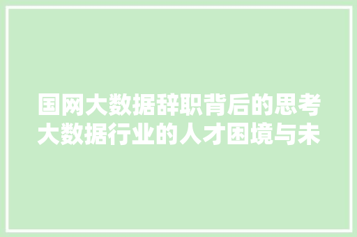 国网大数据辞职背后的思考大数据行业的人才困境与未来展望 编程语言 国网大数据辞职背后的思考大数据行业的人才困境与未来展望 编程语言