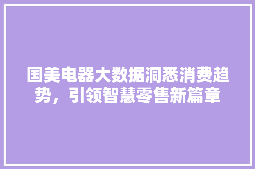 国美电器大数据洞悉消费趋势，引领智慧零售新篇章 网络技术