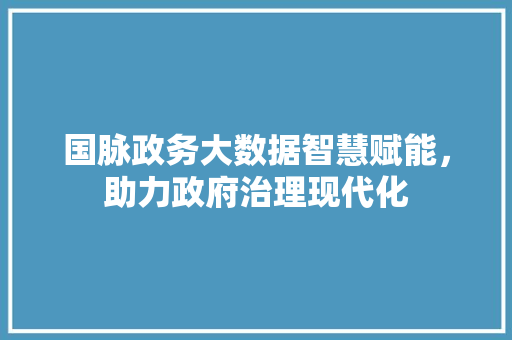 国脉政务大数据智慧赋能,助力政府治理现代化 电脑故障维修 国脉政务大数据智慧赋能,助力政府治理现代化 电脑故障维修