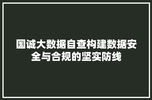 国诚大数据自查构建数据安全与合规的坚实防线 操作系统