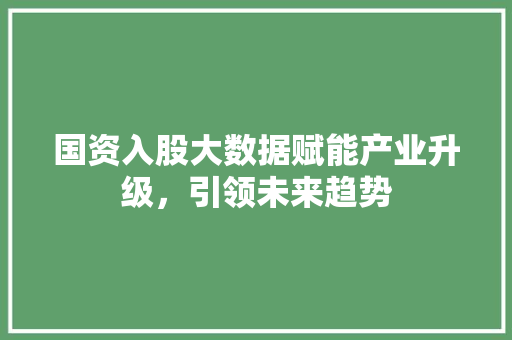 国资入股大数据赋能产业升级，引领未来趋势 网络技术