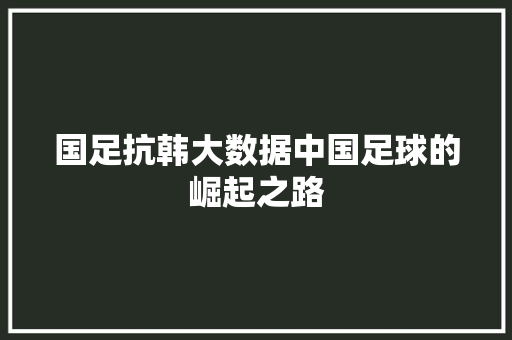 国足抗韩大数据中国足球的崛起之路 电脑配置