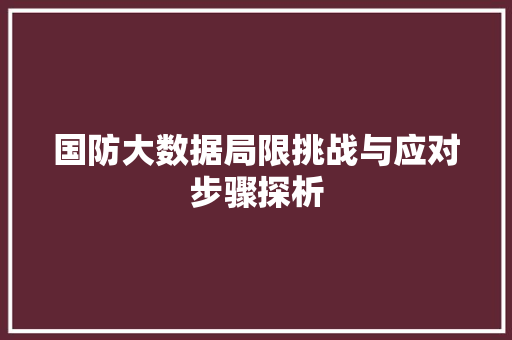 国防大数据局限挑战与应对步骤探析 电脑配置